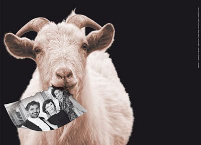 � G�nter Jagoutz